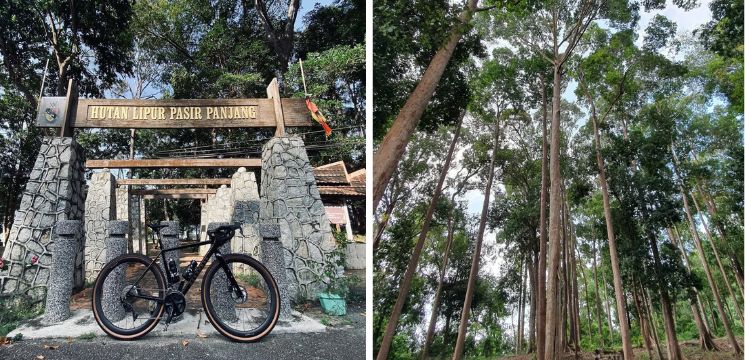 Hutan Lipur Pasir Panjang