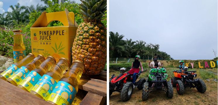 Ladang Nanas Sky Ladder, Port Dickson