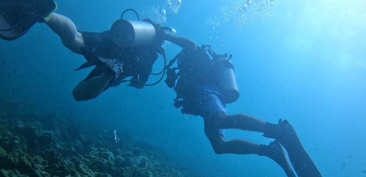 Menyertai Kursus PADI & Dapatkan Lesen Menyelam Bertaraf Dunia