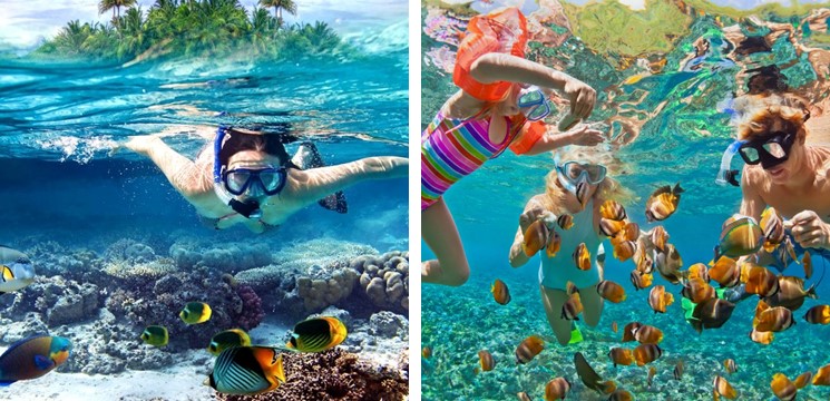 Snorkeling di Pulau Pangkor