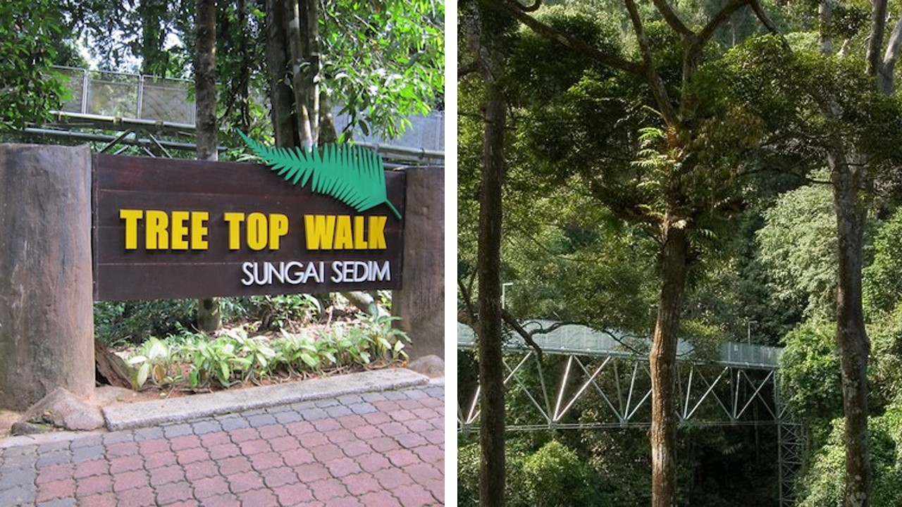 canopy walk kedah