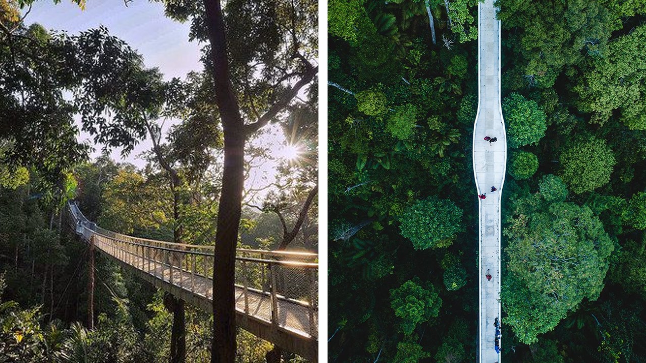 canopy walk penang