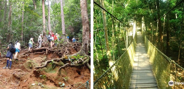 gunung lambak hiking