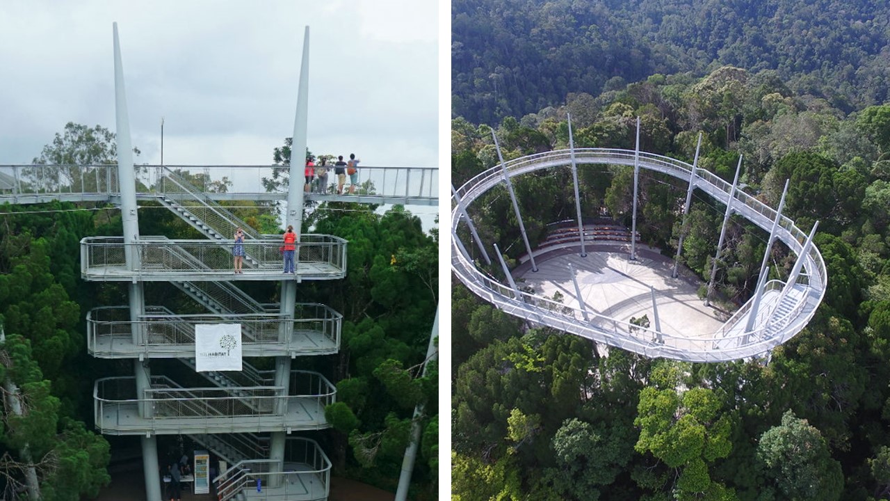 canopy walk penang