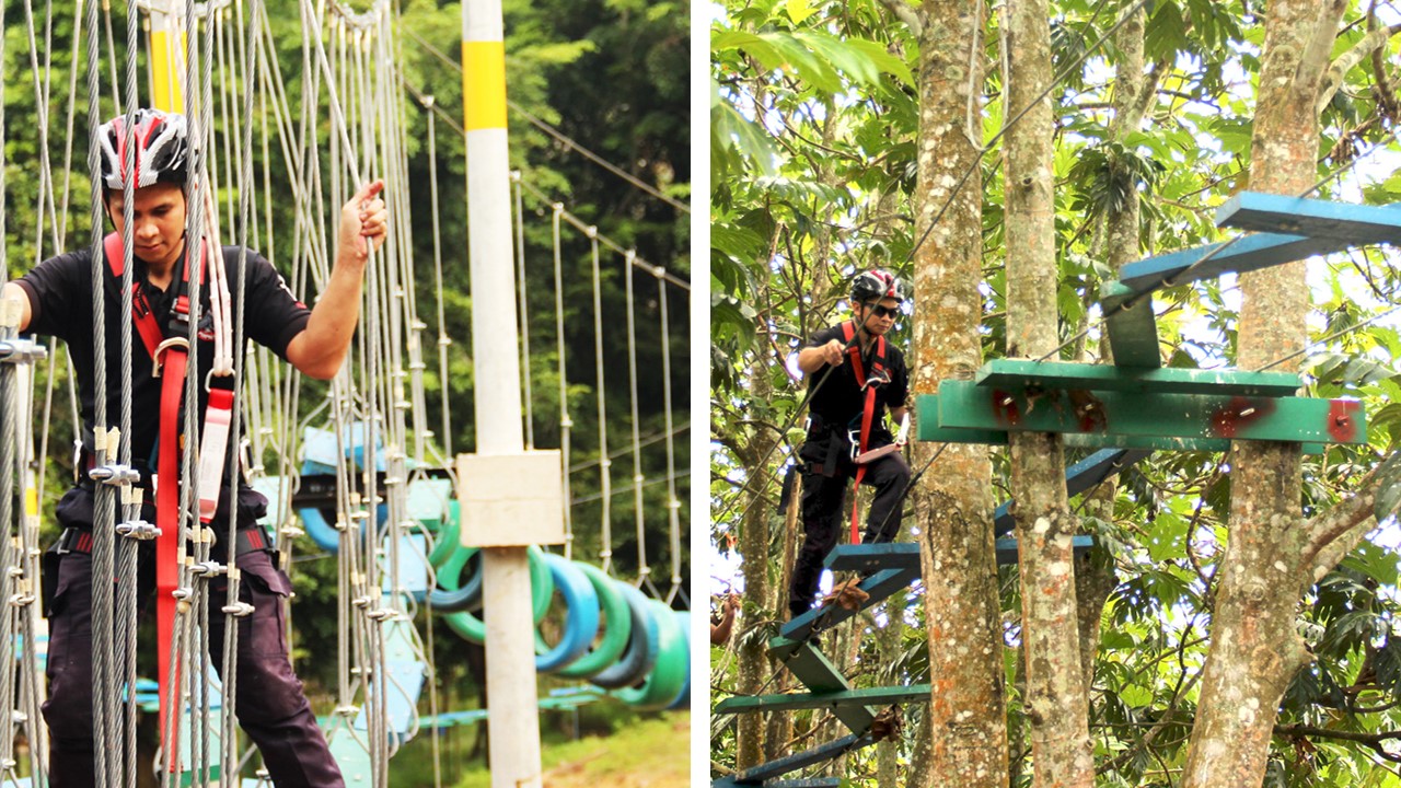 canopy walk orchard