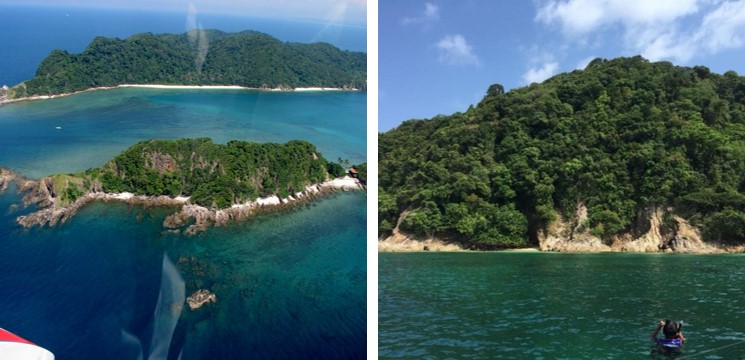 pulau kapas terengganu hutan