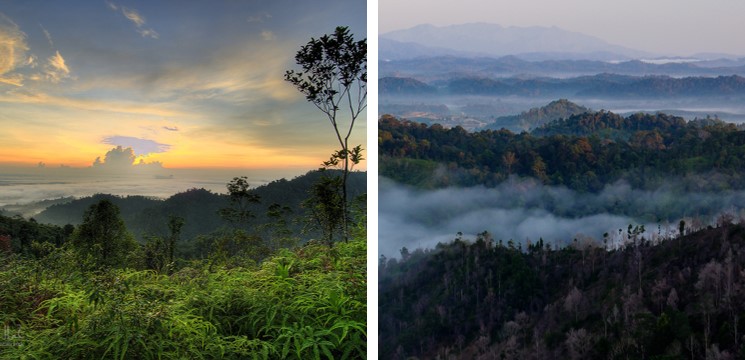 bukit panorama hiking