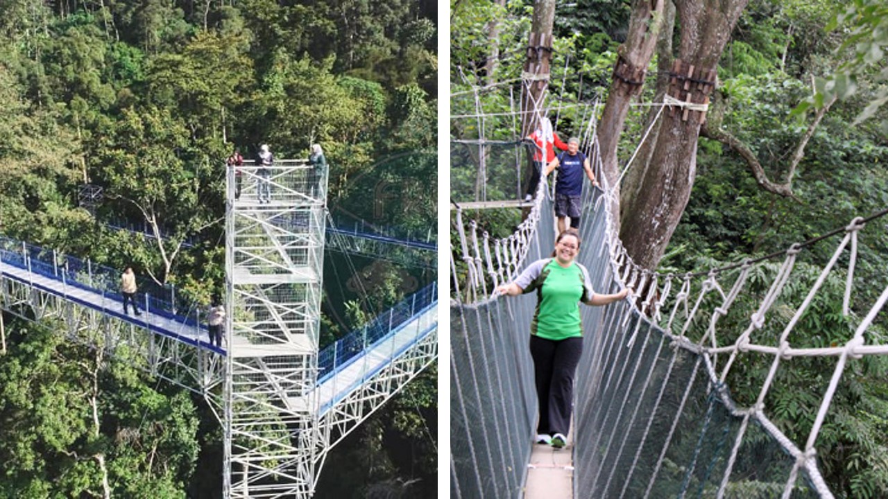 canopy walk selangor