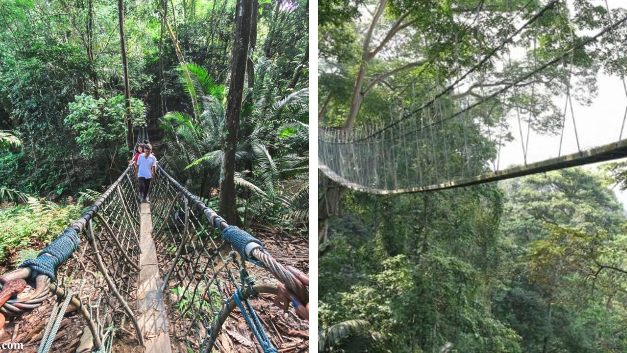 canopy walk petaling jaya