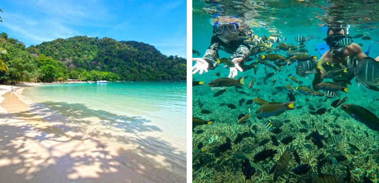 15 Pulau Di Semenanjung Malaysia Yang Best Untuk Snorkeling Edisi 2022 Cari Destinasi