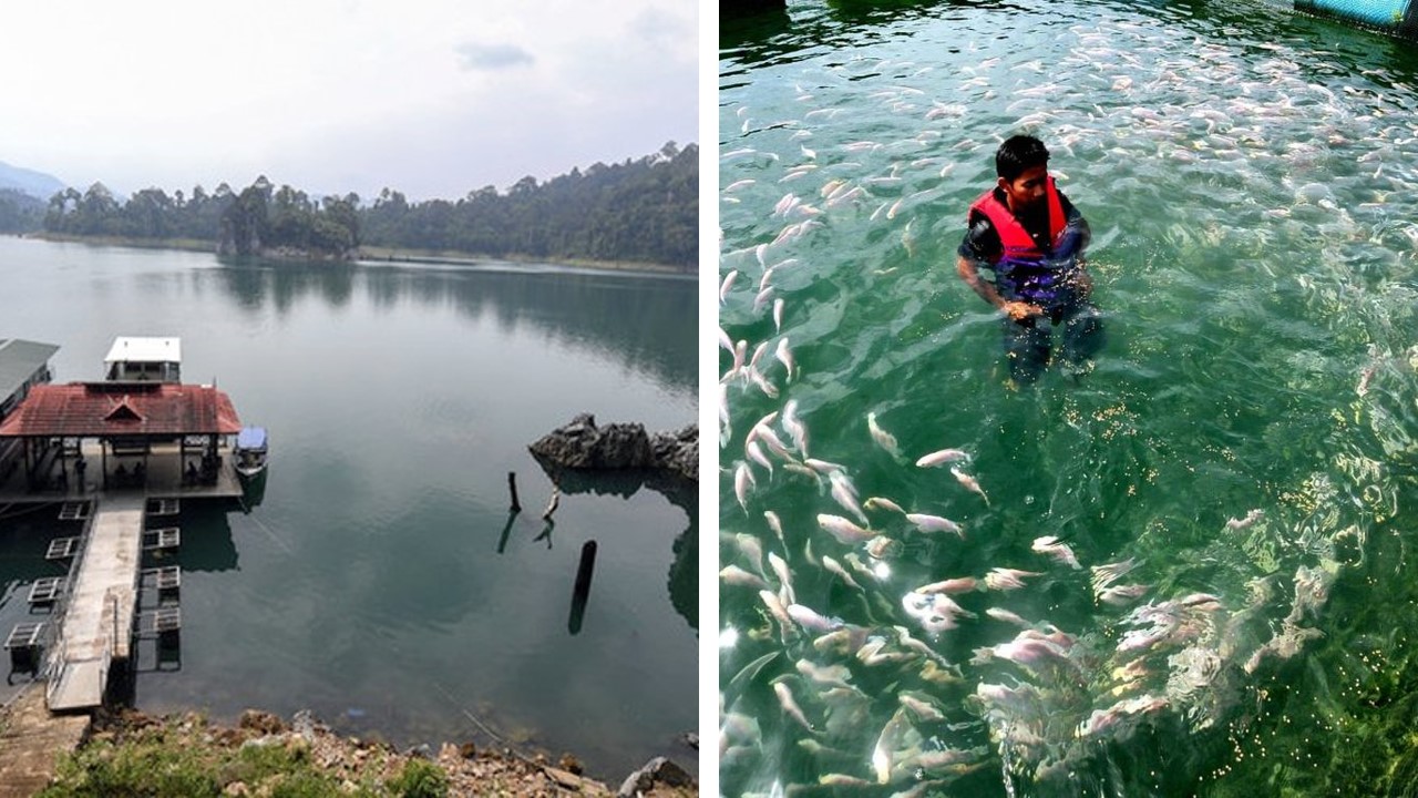 tasik kenyir pancing