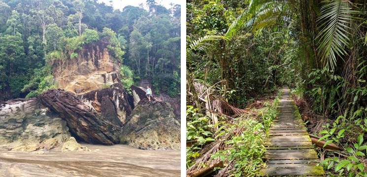 Hiking trail di Bako National Park