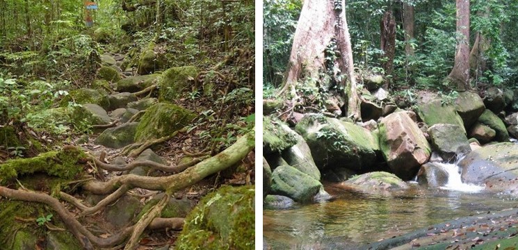 Santubong National Park