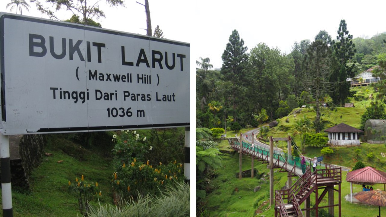 bird watching bukit larut