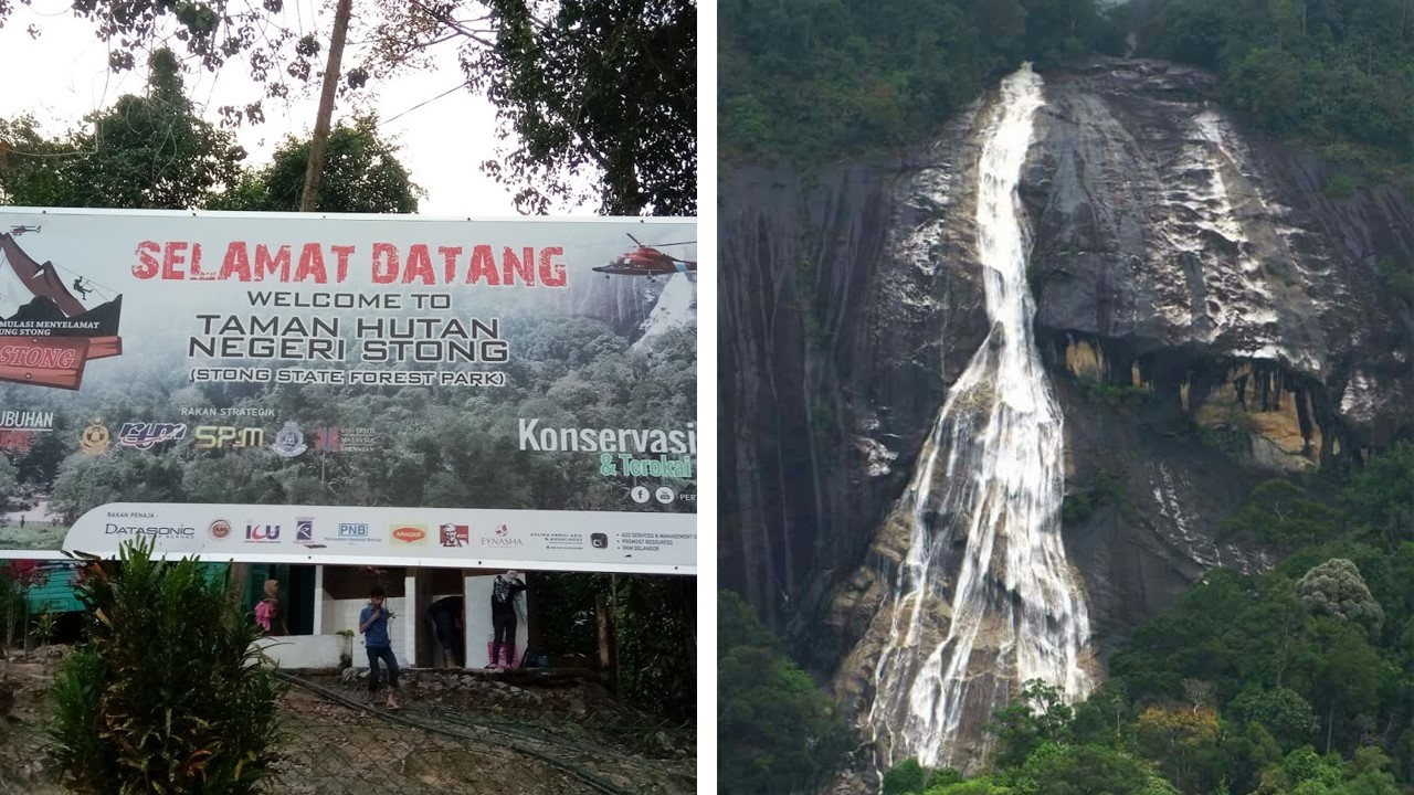 bird watching gunung stong