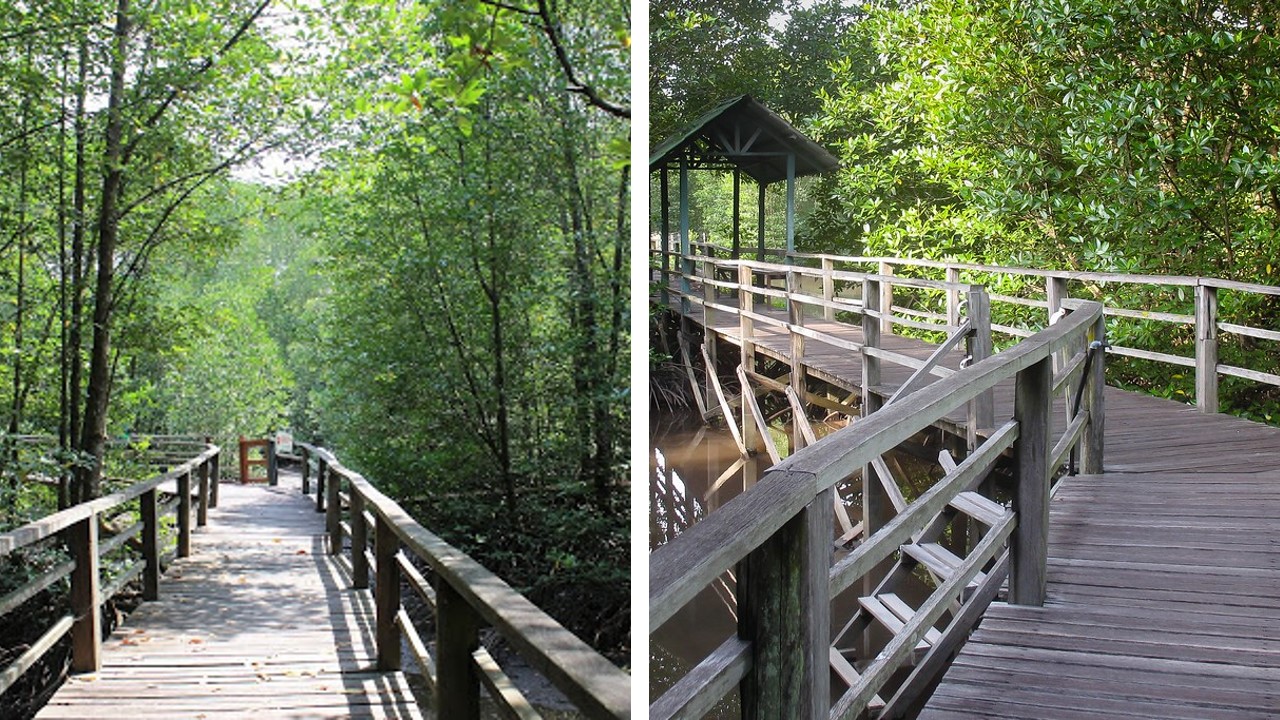 wetland centre