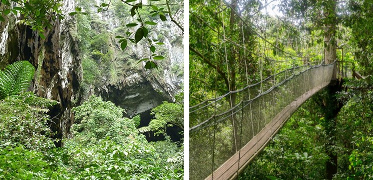 Mulu Canopy Skywalk