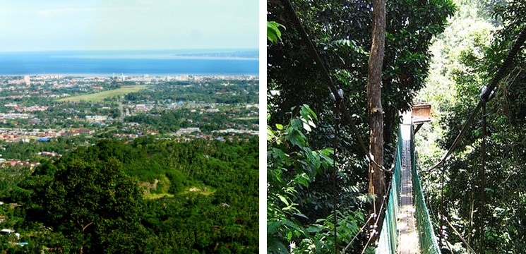 Canopy Walk Bukit Gemok