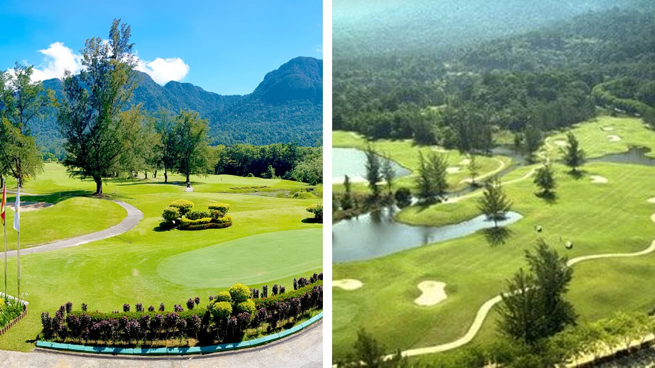 damai golf