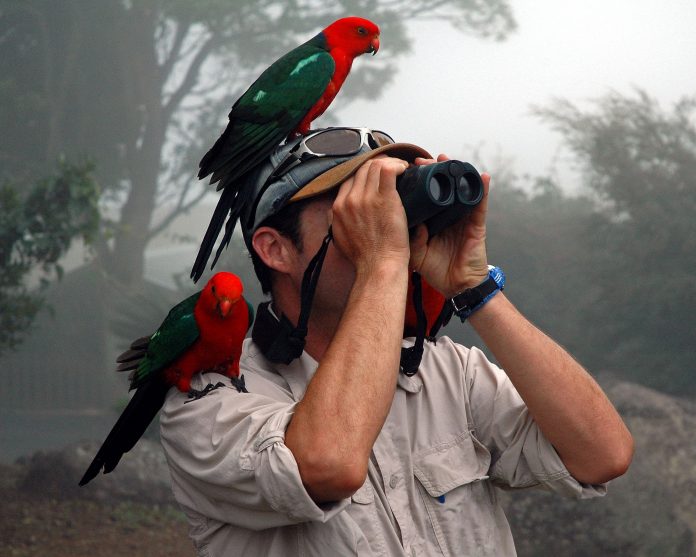 bird watching malaysia