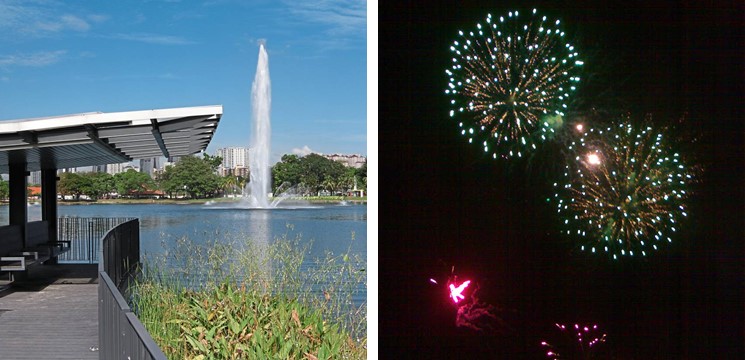 Taman Titiwangsa Bunga api