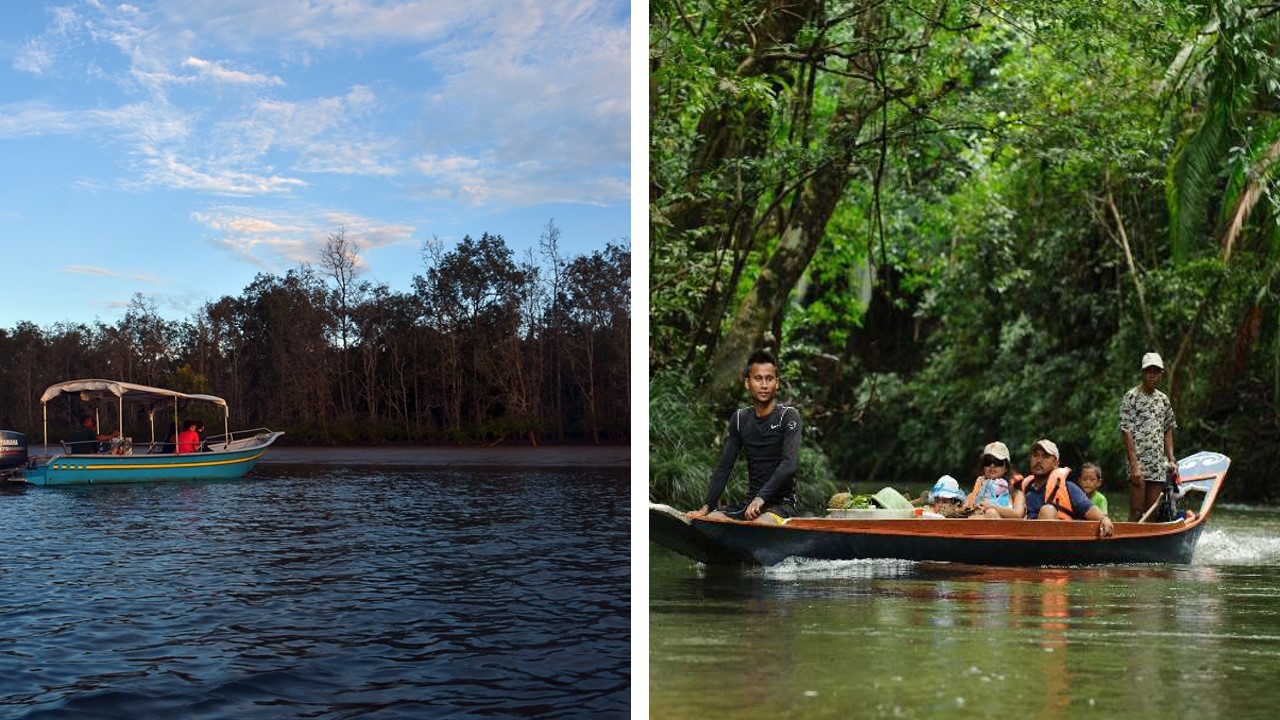 kuching wetland national park