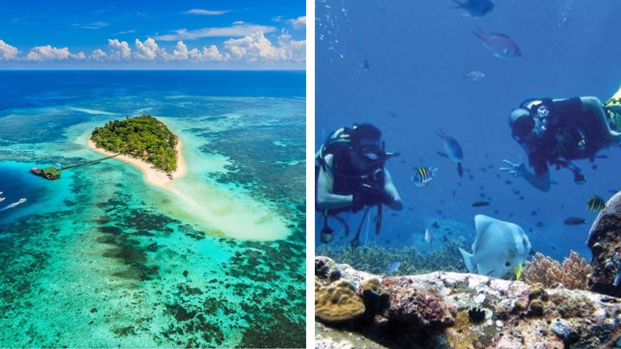 Pulau Lankayan diving