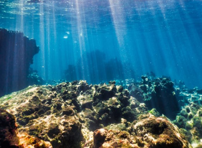 ocean with coral, snorkeling