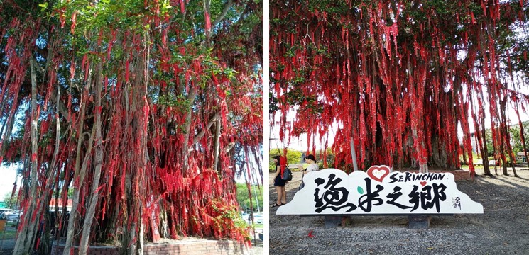 wishing tree