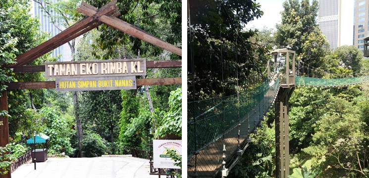 CariDestinasi TAMAN EKO RIMBA BUKIT NANAS 