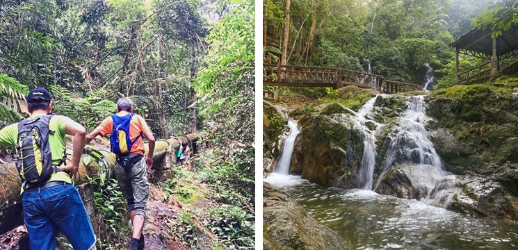 CariDestinasi Templer Park