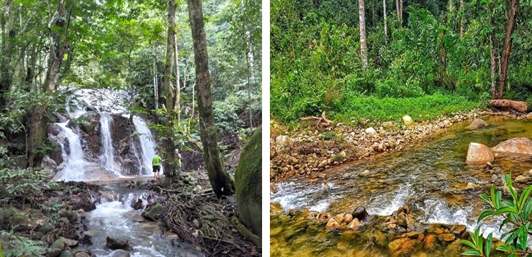 Felda Trolak Timur