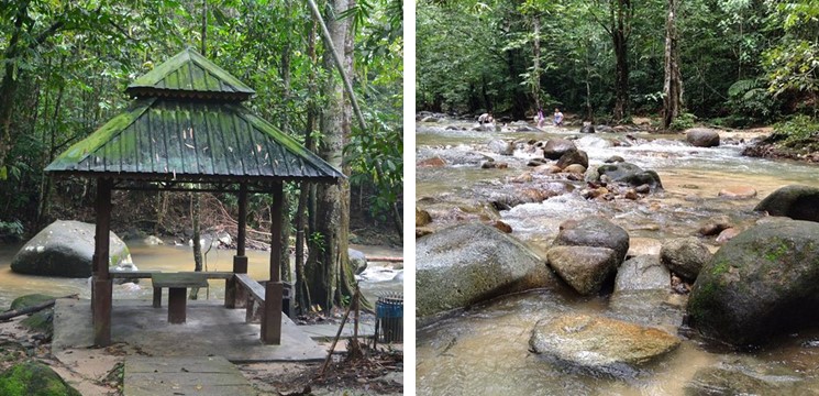 sungai tua hutan lipur