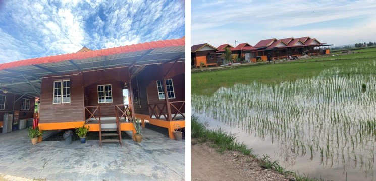 Homestay kuala selangor tepi sawah