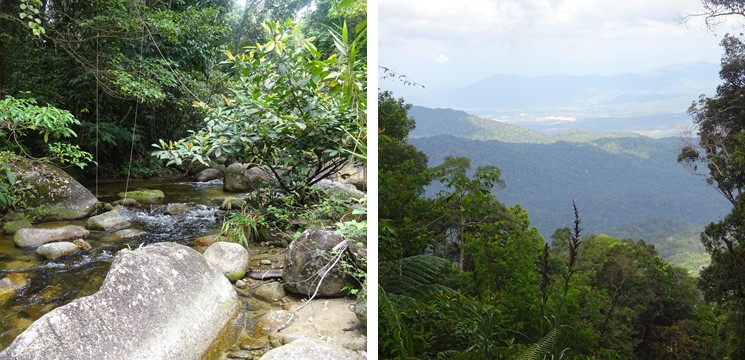 gunung bubu foto