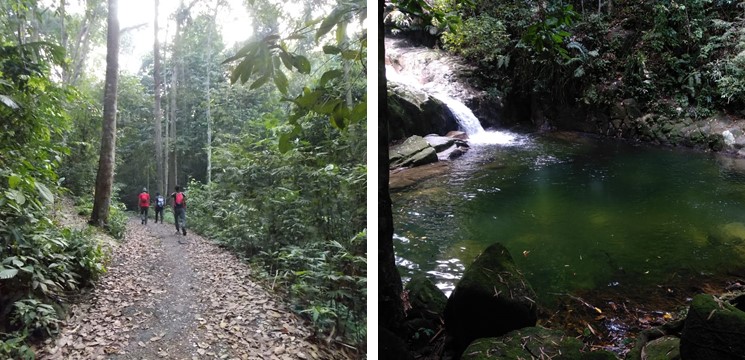 gunung bujang melaka foto