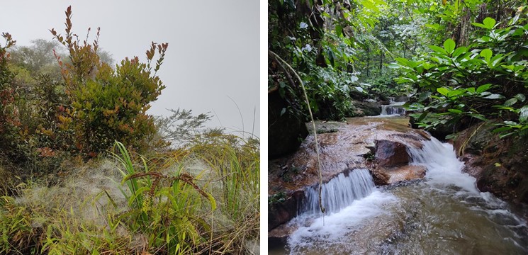 gunung chabang foto