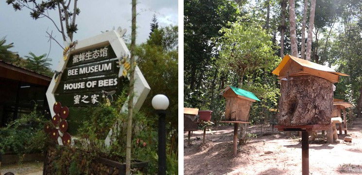 CariDestinasi Bilut Valley Bee Farm