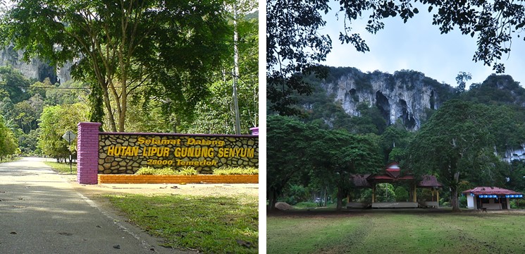 CariDestinasi Gunung Senyum