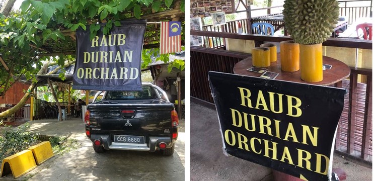 CariDestinasi Raub Durian Orchard