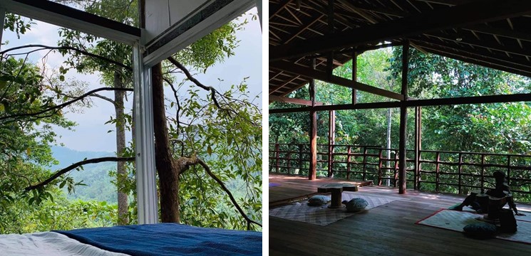 penginapan janda baik Plateau Farm Treehouse Camp Site