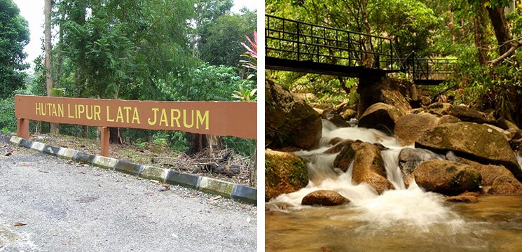 air terjun lata jarum foro