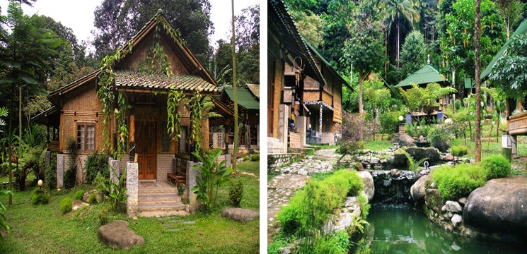 Bamboo Village