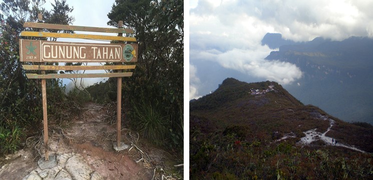 Gunung Tahan