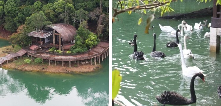 Taman Burung Tasik Kenyir