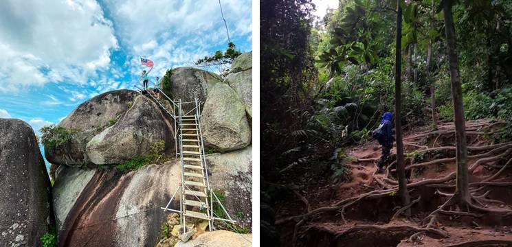 Hutan Lipur Gunung Datuk 