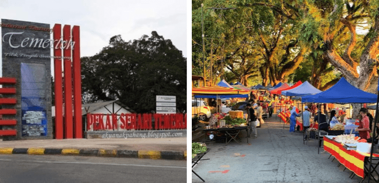 Pekan Sehari Temerloh, Taman Kenangan