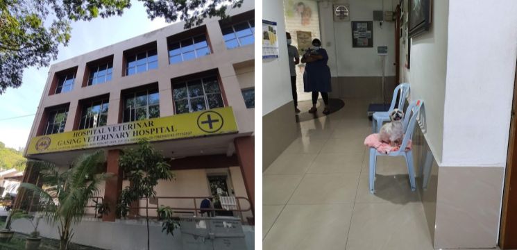 Gasing Veterinary Hospital, Gasing Indah