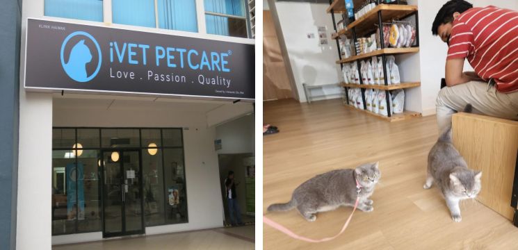 Klinik Haiwan iVET PETCARE, Two Square Petaling Jaya