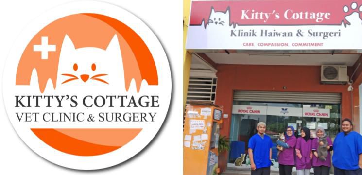 Kitty's Cottage Klinik Haiwan dan Surgeri Shah Alam, Seksyen 20